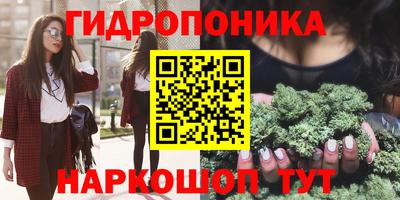 соль ск Гай