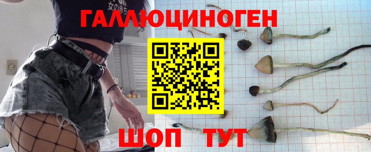 Галлюциногенные грибы ЛСД  Вход с VPN  Набережные Челны  Псилоцибиновые грибы Psilocybe 